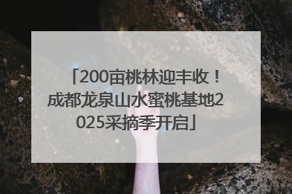 200亩桃林迎丰收！成都龙泉山水蜜桃基地2025采摘季开启