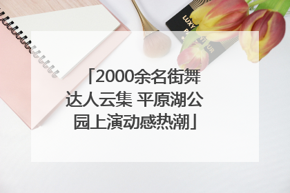 2000余名街舞达人云集 平原湖公园上演动感热潮