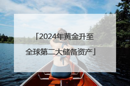 2024年黄金升至全球第二大储备资产