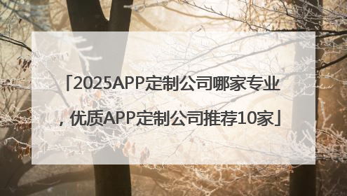 2025APP定制公司哪家专业，优质APP定制公司推荐10家