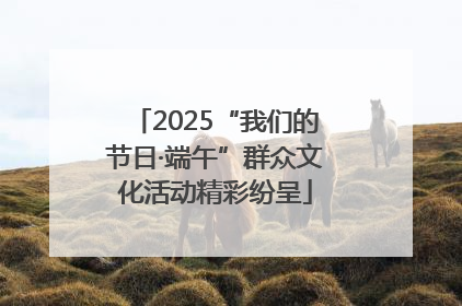 2025“我们的节日·端午”群众文化活动精彩纷呈