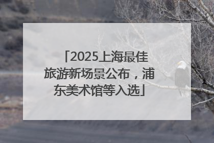 2025上海最佳旅游新场景公布，浦东美术馆等入选