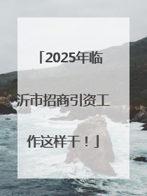 2025年临沂市招商引资工作这样干！
