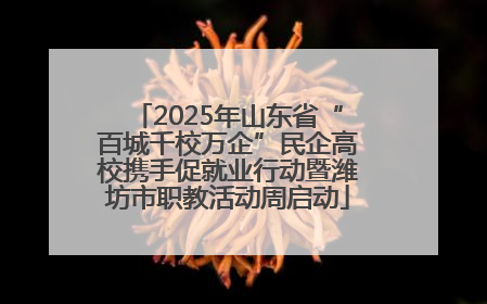 2025年山东省“百城千校万企”民企高校携手促就业行动暨潍坊市职教活动周启动