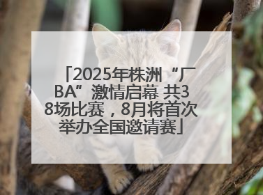 2025年株洲“厂BA”激情启幕 共38场比赛，8月将首次举办全国邀请赛