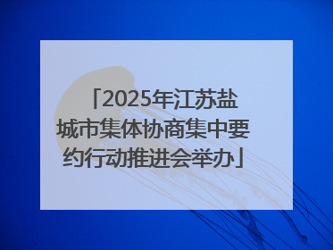 2025年江苏盐城市集体协商集中要约行动推进会举办