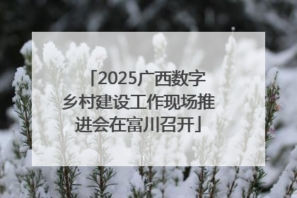 2025广西数字乡村建设工作现场推进会在富川召开