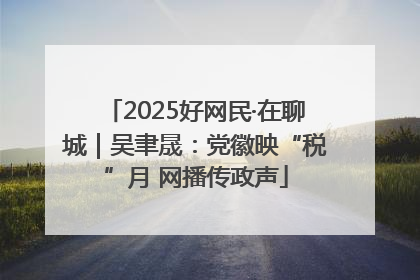 2025好网民·在聊城｜吴聿晟：党徽映“税”月 网播传政声