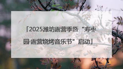 2025潍坊露营季暨“寿枣园·露营烧烤音乐节”启动