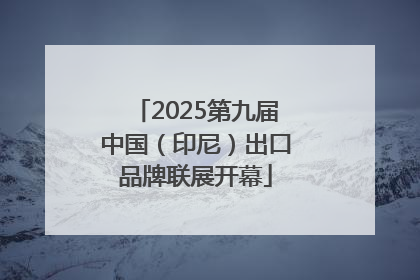 2025第九届中国（印尼）出口品牌联展开幕
