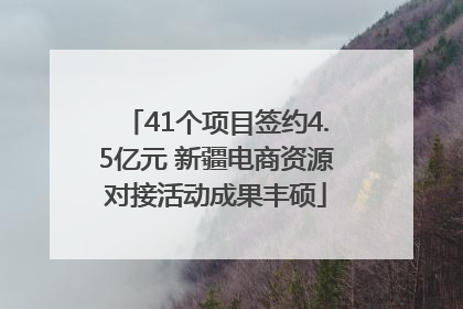 41个项目签约4.5亿元 新疆电商资源对接活动成果丰硕