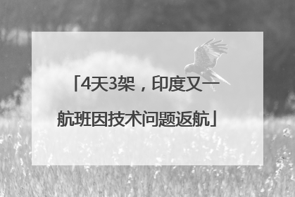 4天3架，印度又一航班因技术问题返航