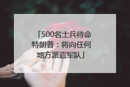 500名士兵待命 特朗普：将向任何地方派遣军队