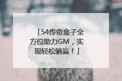 54传奇盒子全方位助力GM，实现轻松躺赢！